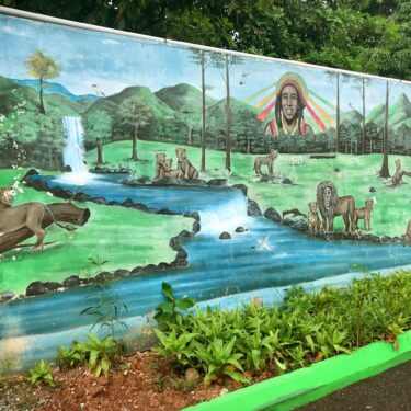 Enlight936 Enlight936